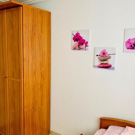 Apartamento Felix De La Fuente Торевиеха Екстериор снимка